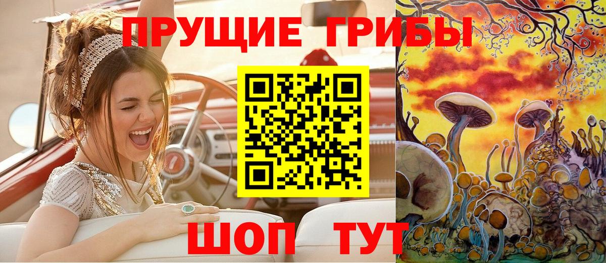 Галлюциногенные грибы Cubensis Арсеньев
